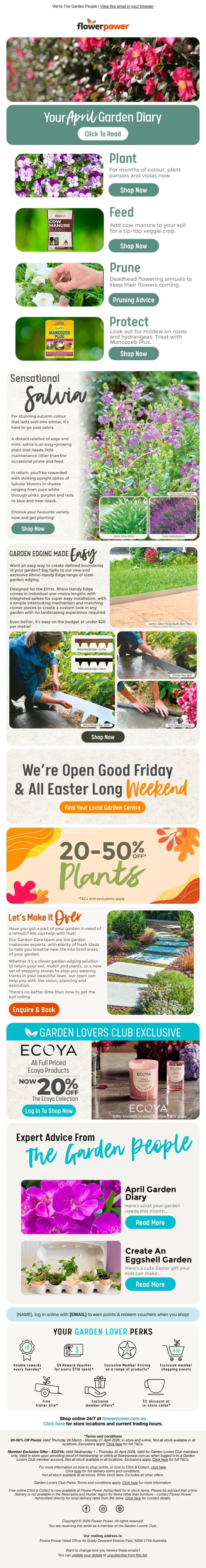 Flower Power newsletter email, full length