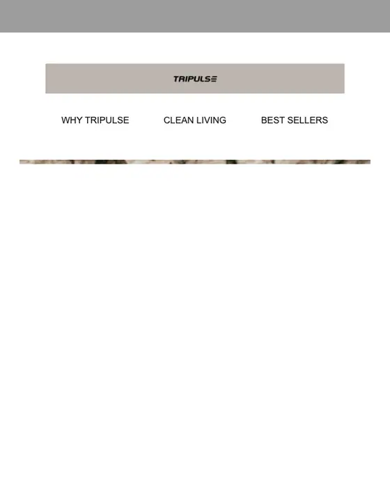 Tripulse promotional email
