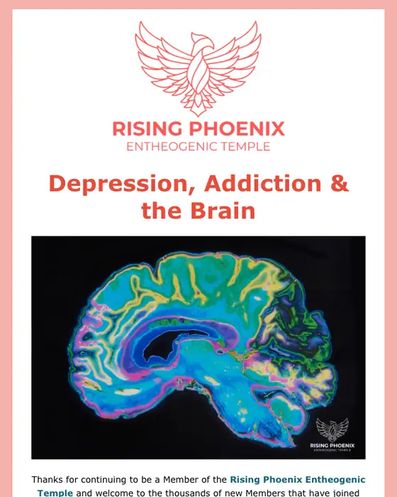Rising Phoenix Entheogenic Temple promotional email